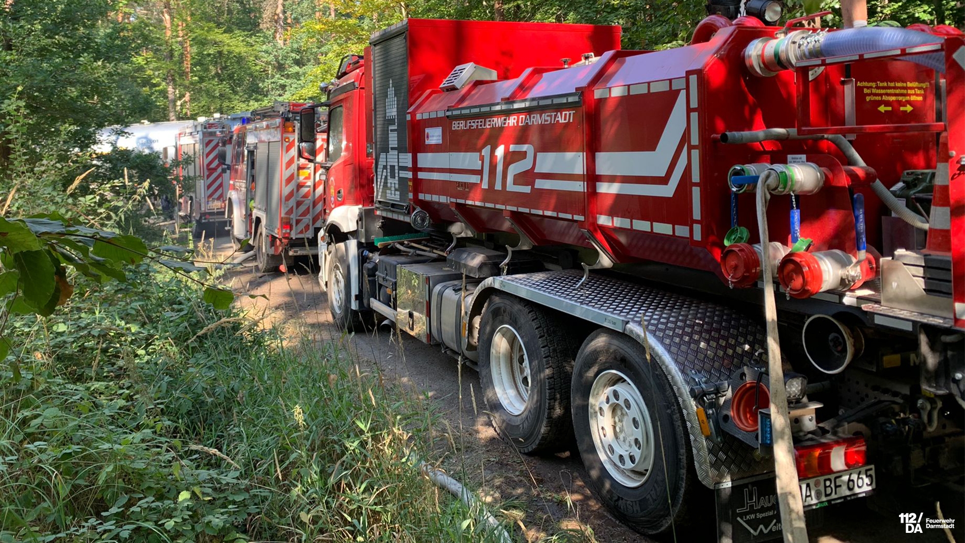 Waldbrand Münster